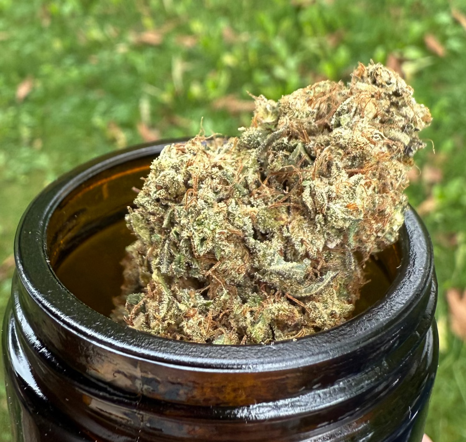 Hanfblüten Tee - Fruit Loops & Sour Apple Indoor Mix