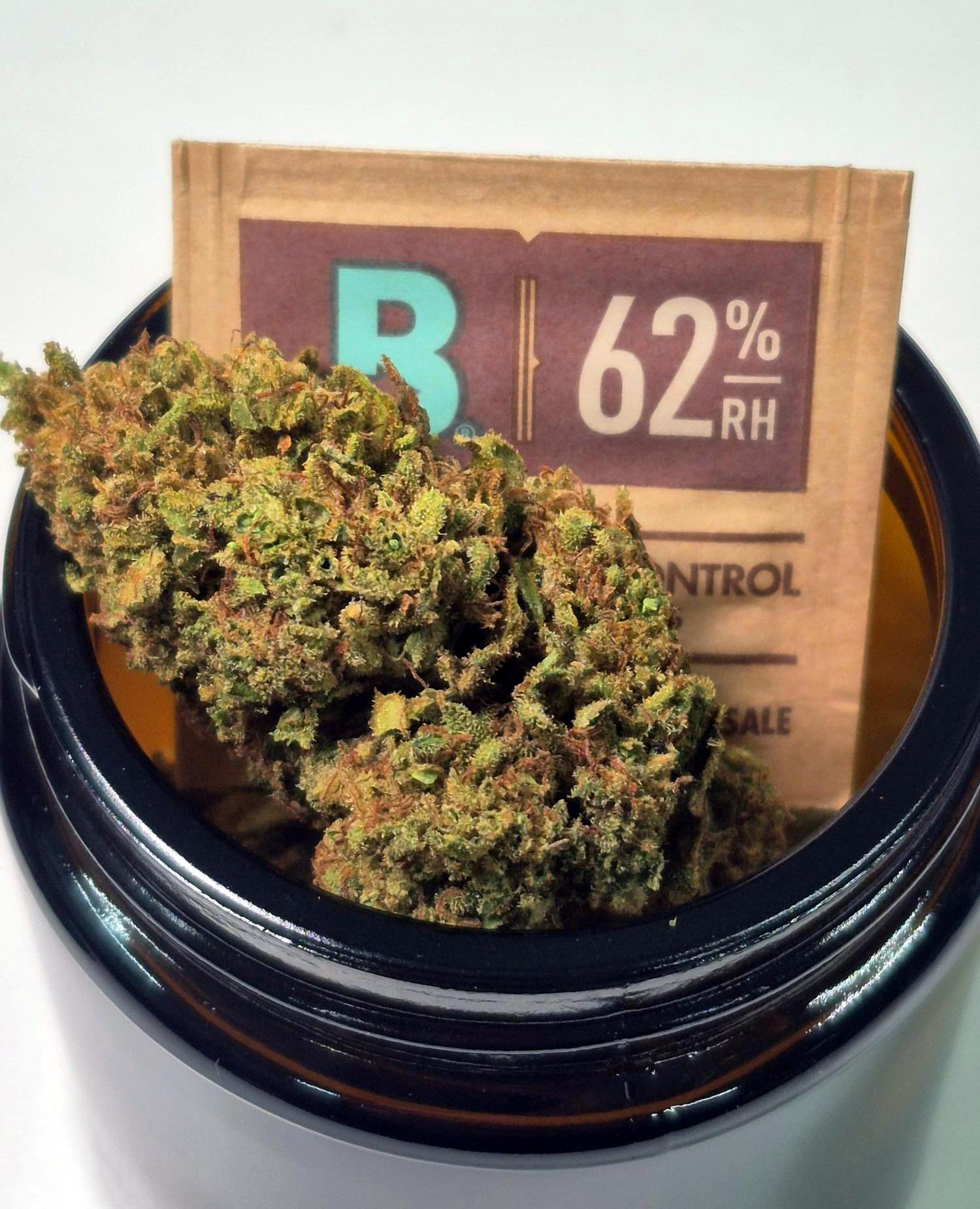 Hanfblüten Tee - Jamaican Gold