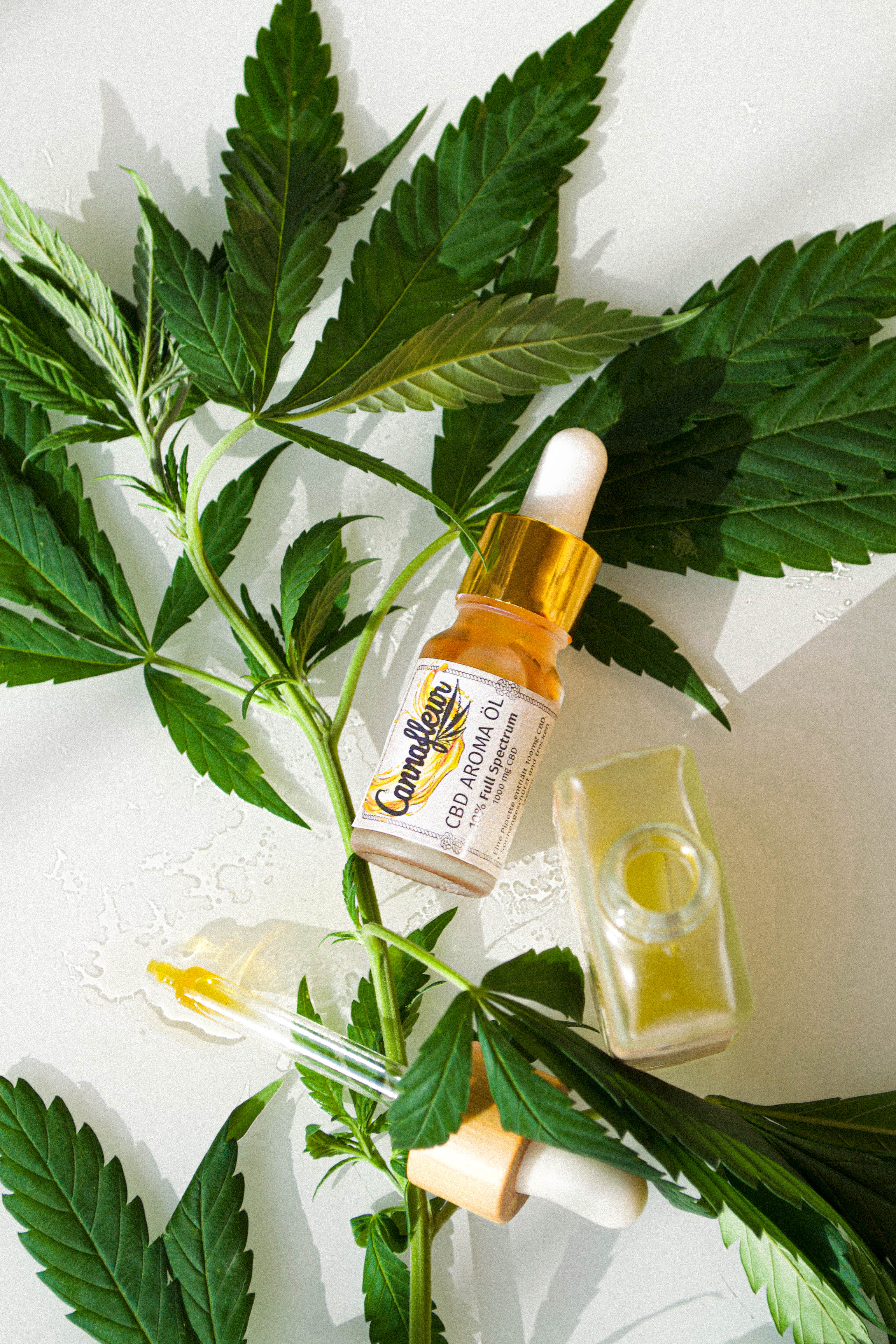CBD ÖL 10% Intense (Cup Gewinner)