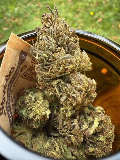 Hanfblüten Tee - Mandarin Cookie