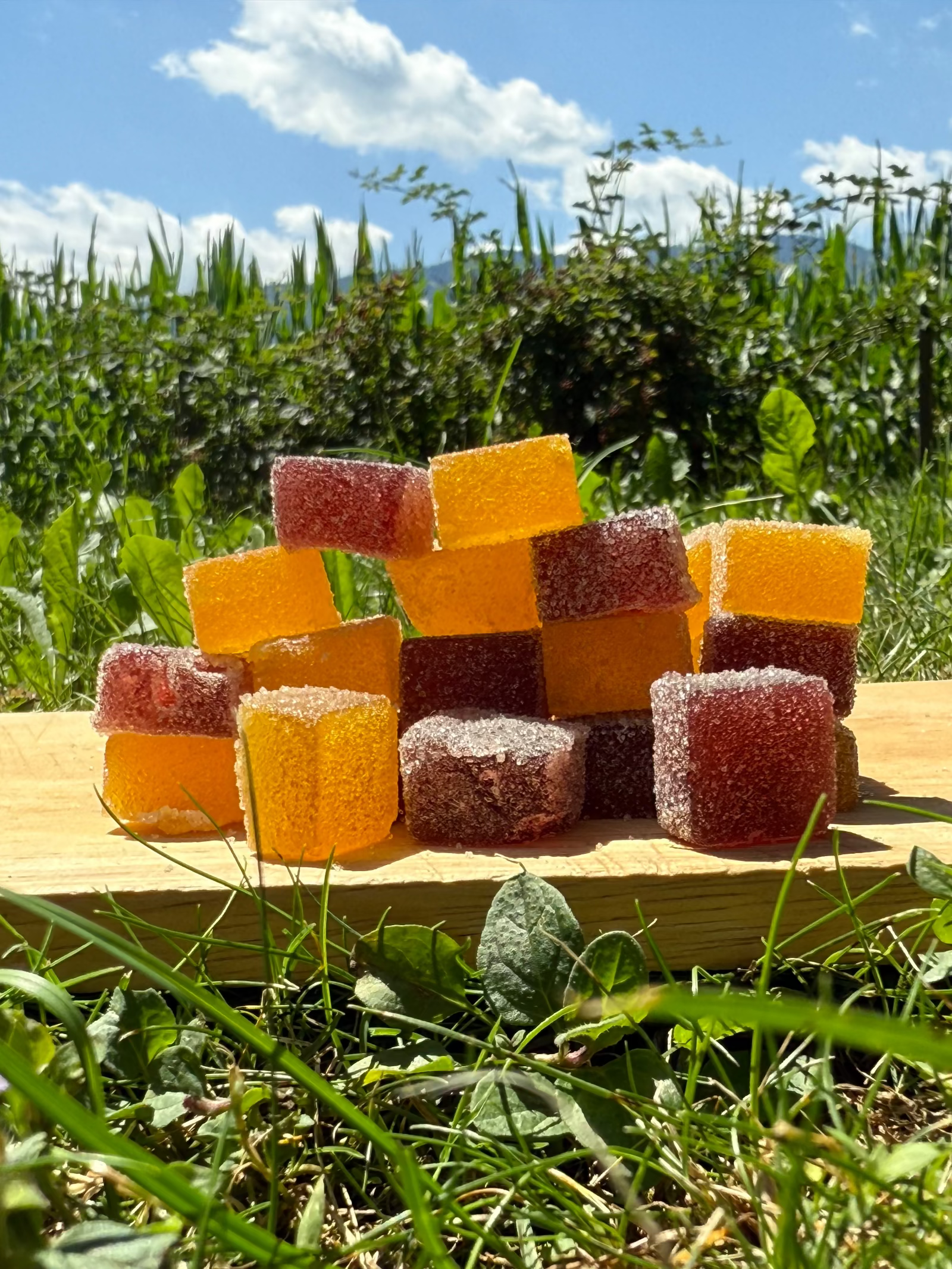 High Guys - Aroma Gummies (10 Stk.)